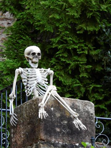 Photo of a skeleton sitting lazily on a stone block.  Trees are in the background.