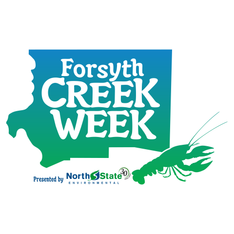 Forsyth Creek Week Photo