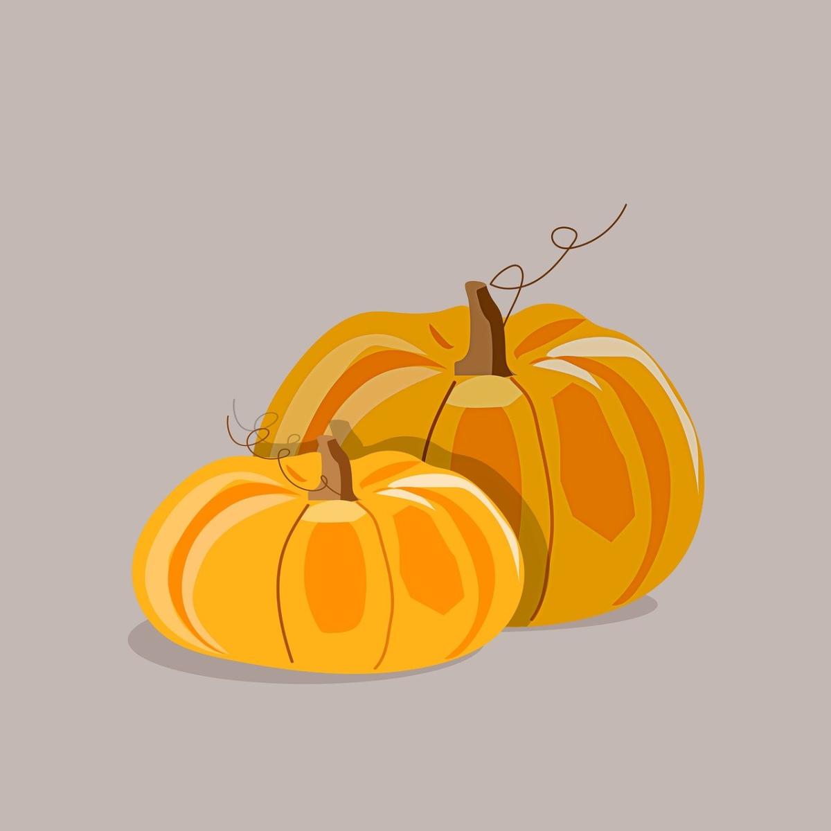 Image of two pumpkins