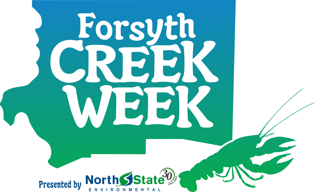 Image depicting the 2025 Forsyth Creek Week logo